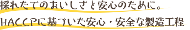 採れたてのおいしさと安心のために。HACCPに基づいた安心・安全な製造工程