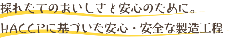 採れたてのおいしさと安心のために。HACCPに基づいた安心・安全な製造工程